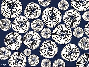 פלייסמנט סלייס  פלייסמנט סלייס