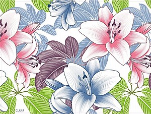 פלייסמנט  אביבי פלייסמנט  אביבי