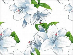 פלייסמנט  אביבי לבן פלייסמנט  אביבי לבן