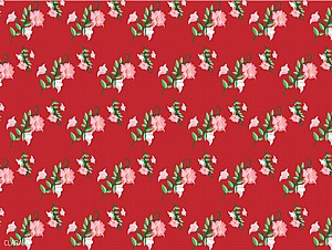 פלייסמנט פרידה קאלו אדום פלייסמנט פרידה קאלו אדום