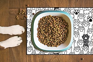 שטיח PVC דגם חיות מחמד 2 שטיח PVC דגם חיות מחמד 2